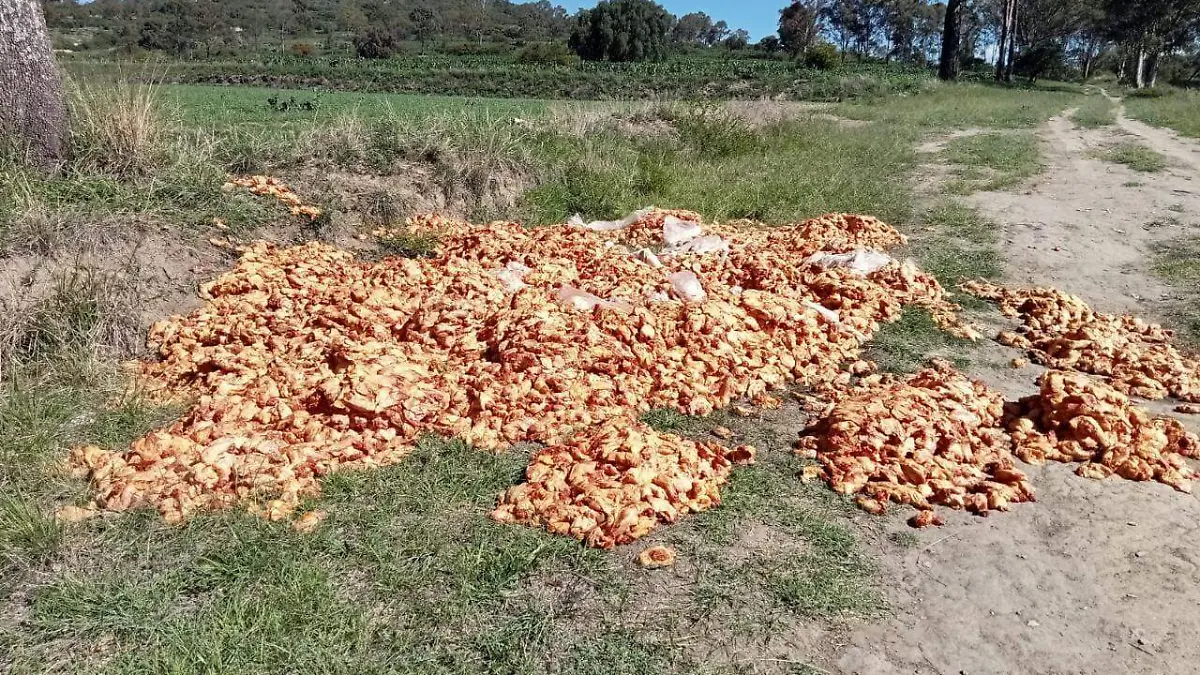 Abandonan cientos de kilos de pollo en camino de Texmelucan